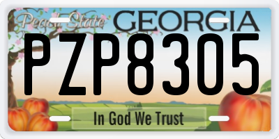 GA license plate PZP8305