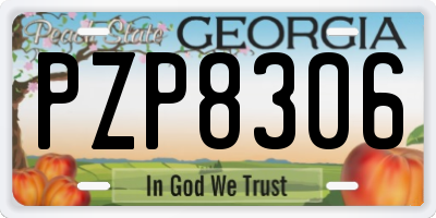 GA license plate PZP8306