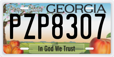 GA license plate PZP8307