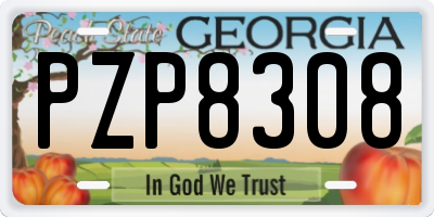 GA license plate PZP8308
