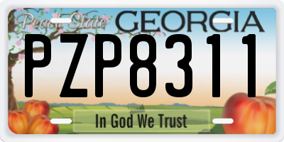 GA license plate PZP8311