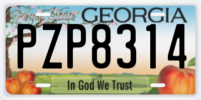 GA license plate PZP8314