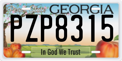 GA license plate PZP8315