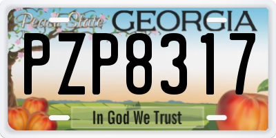 GA license plate PZP8317