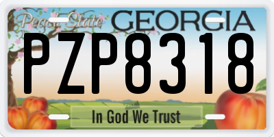 GA license plate PZP8318