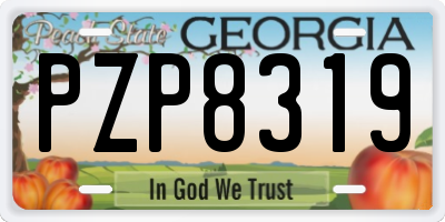 GA license plate PZP8319