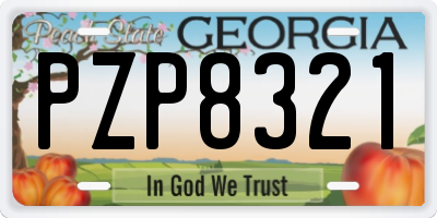 GA license plate PZP8321