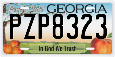 GA license plate PZP8323