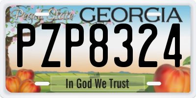GA license plate PZP8324