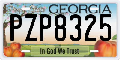 GA license plate PZP8325