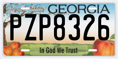 GA license plate PZP8326