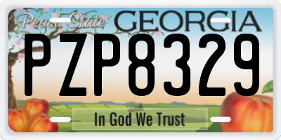GA license plate PZP8329