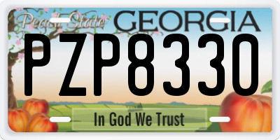GA license plate PZP8330