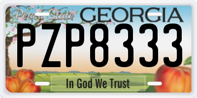 GA license plate PZP8333