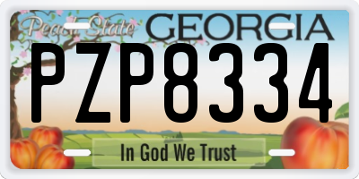 GA license plate PZP8334