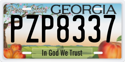 GA license plate PZP8337