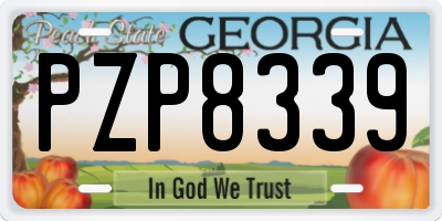 GA license plate PZP8339
