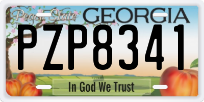 GA license plate PZP8341