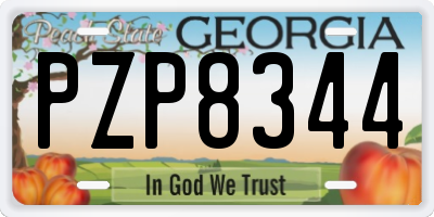 GA license plate PZP8344
