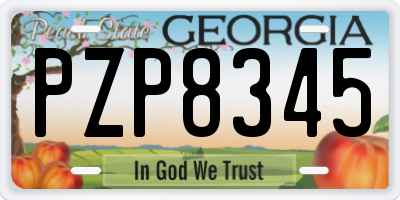 GA license plate PZP8345
