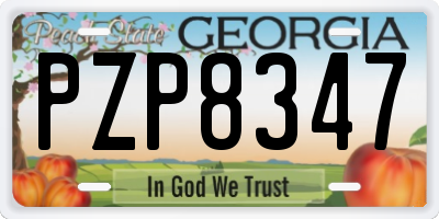 GA license plate PZP8347