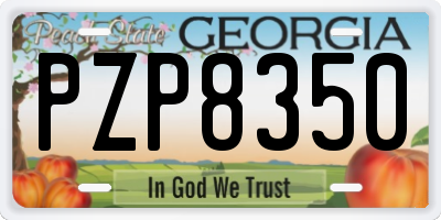 GA license plate PZP8350