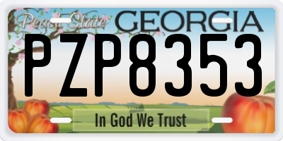 GA license plate PZP8353