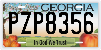 GA license plate PZP8356