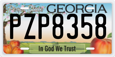 GA license plate PZP8358