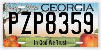 GA license plate PZP8359