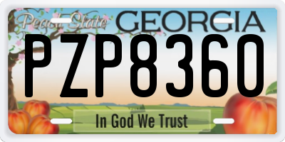 GA license plate PZP8360