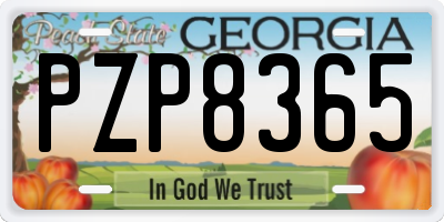 GA license plate PZP8365