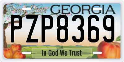 GA license plate PZP8369