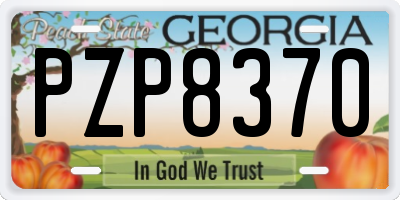 GA license plate PZP8370