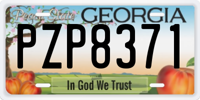 GA license plate PZP8371