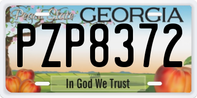GA license plate PZP8372