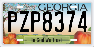 GA license plate PZP8374