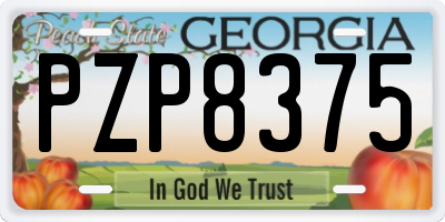 GA license plate PZP8375