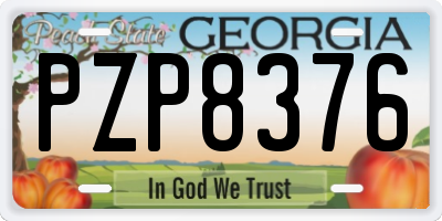 GA license plate PZP8376