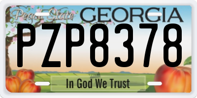 GA license plate PZP8378