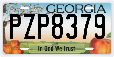 GA license plate PZP8379