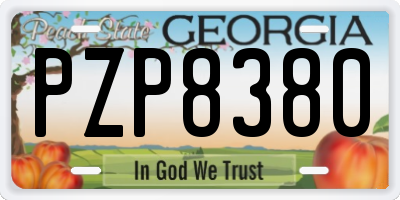 GA license plate PZP8380