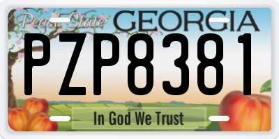 GA license plate PZP8381