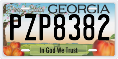 GA license plate PZP8382