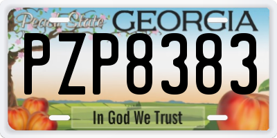 GA license plate PZP8383