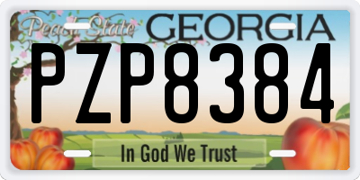 GA license plate PZP8384