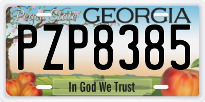 GA license plate PZP8385