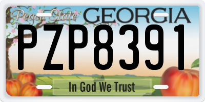 GA license plate PZP8391