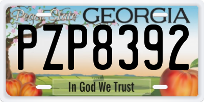 GA license plate PZP8392