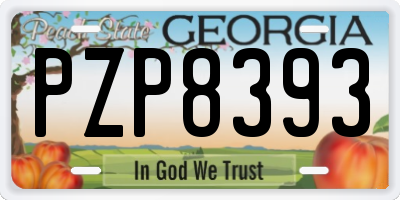 GA license plate PZP8393